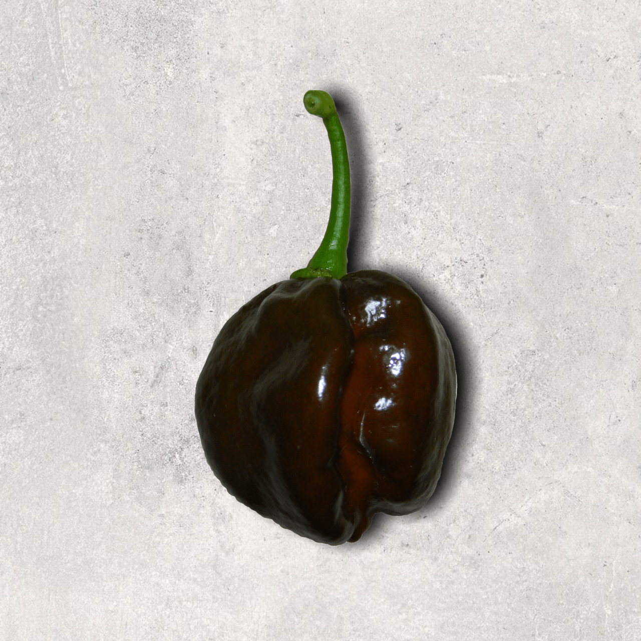 Habanero Chocolate