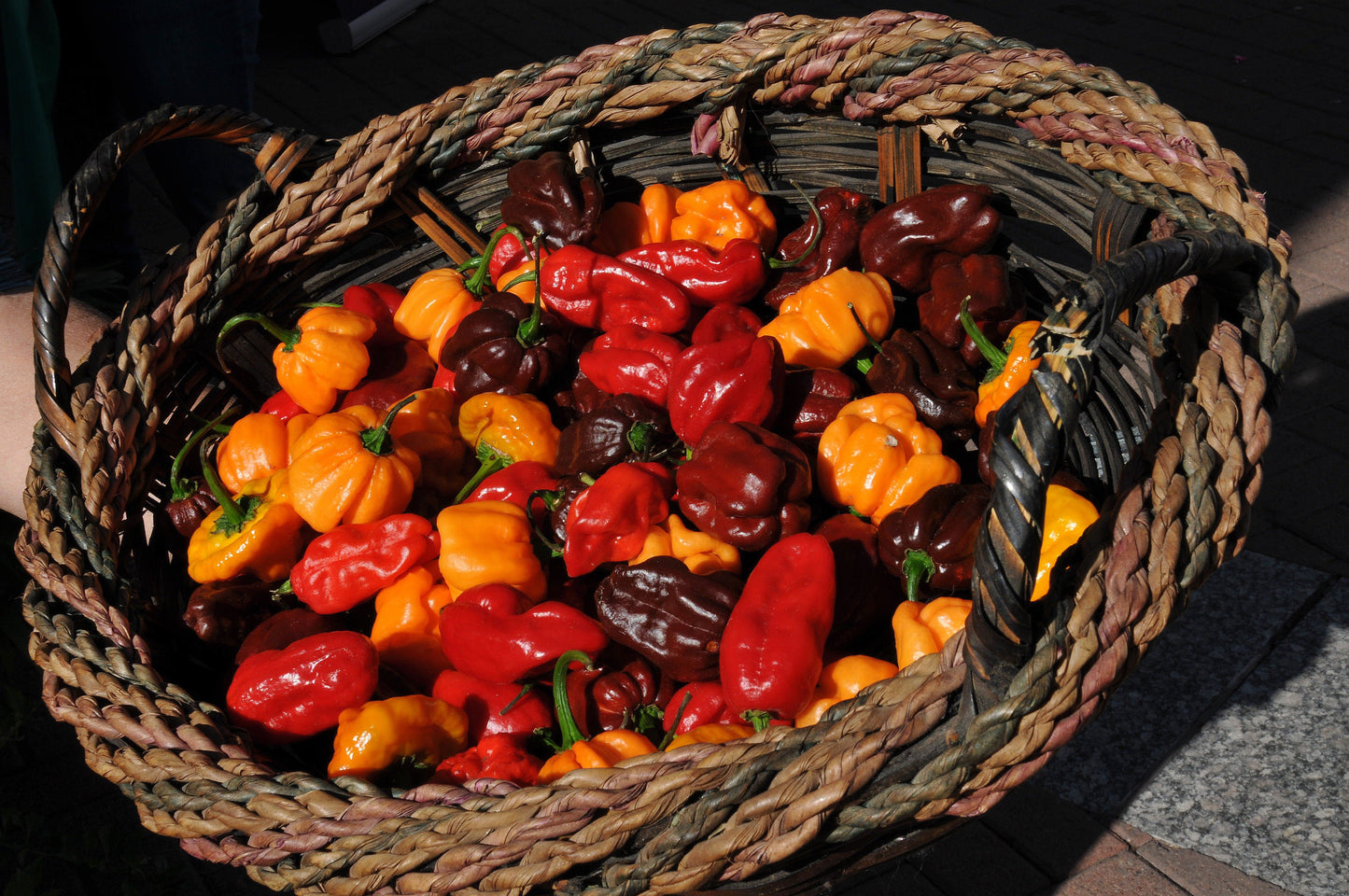 Habanero Chocolate