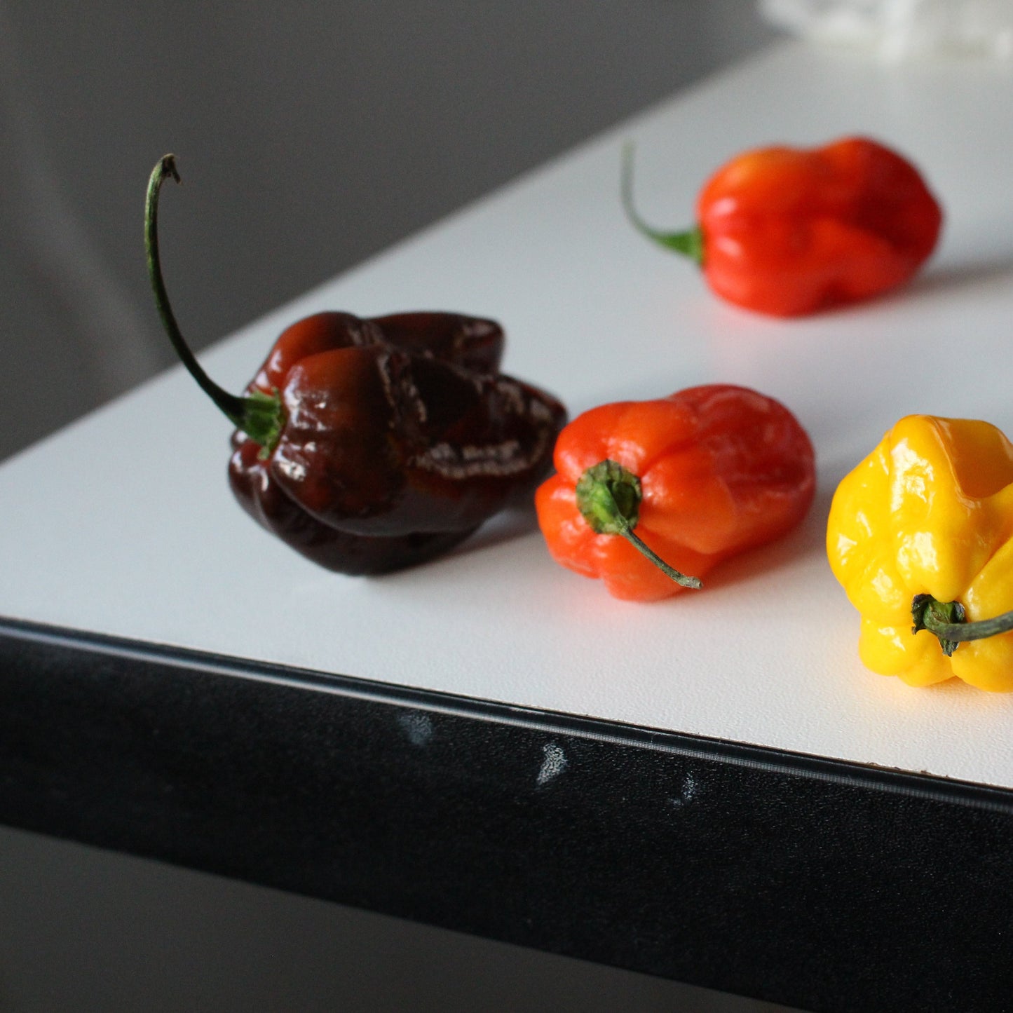 Habanero Chocolate