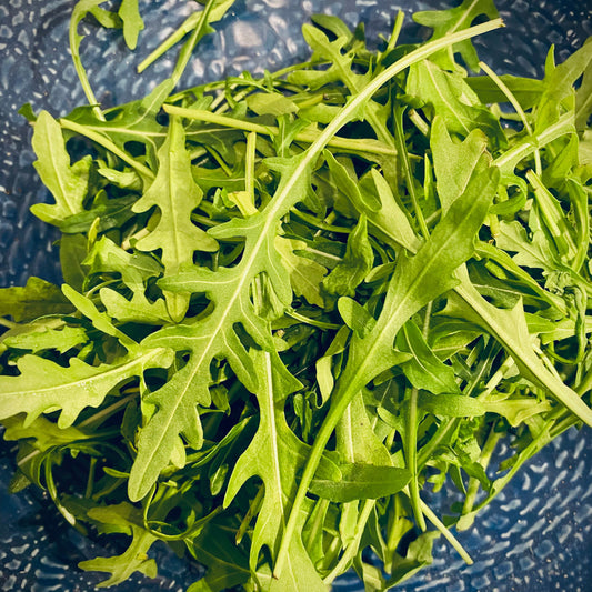 Ruccola