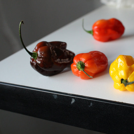 Habanero Chocolate